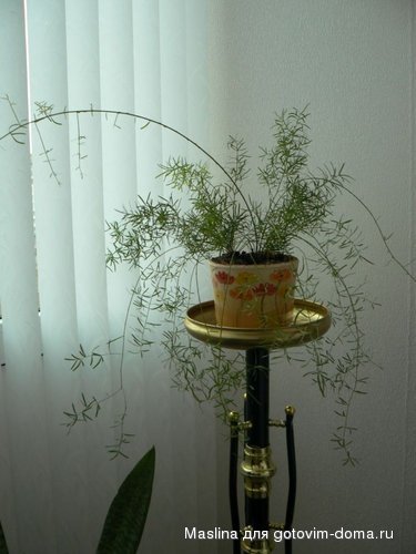 P1030246.JPG