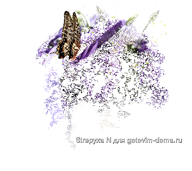 .gif