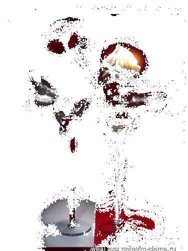 31.gif