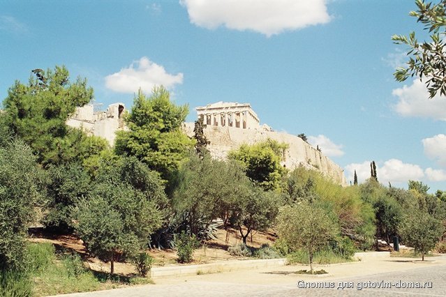 r001-031.jpg