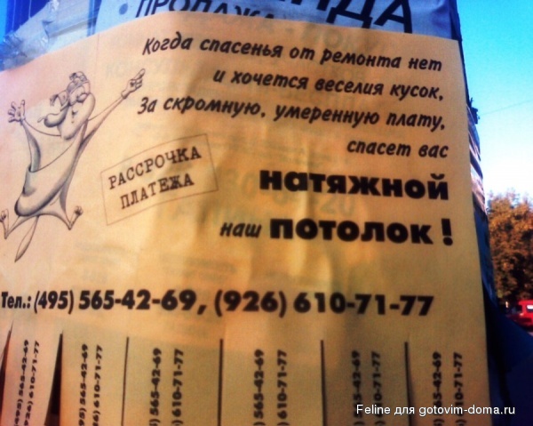 3518705-R3L8T8D-600-1040.jpg