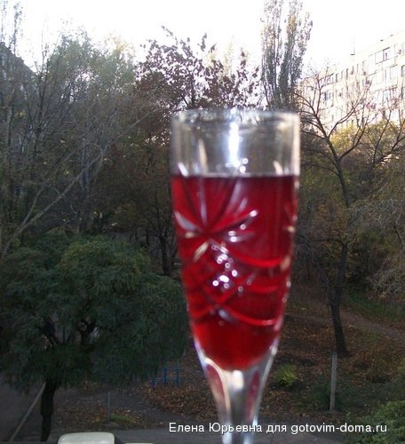 101_0497.jpg