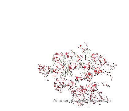 fdade25af8a0.gif