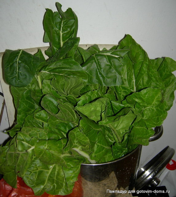 DSCN0968.JPG