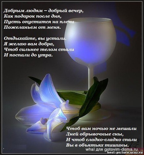 54092200_Dobruym_lyudyam__dobruyy_vecher_s_ryumochkami.jpg