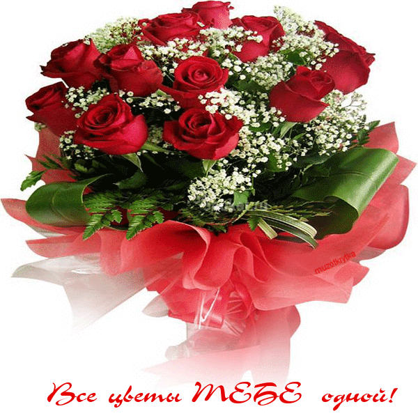 47.gif (661.8 Кб) 47.gif
