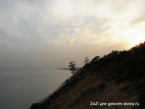 DSC02311_resize_resize_resize.JPG