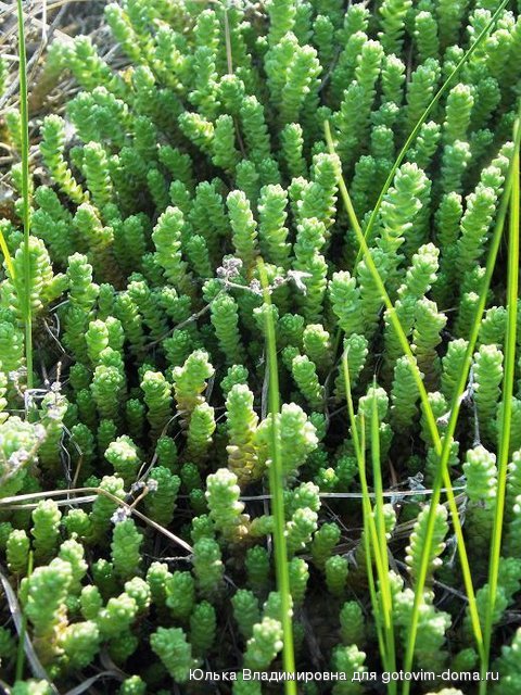 DSCN5308.JPG