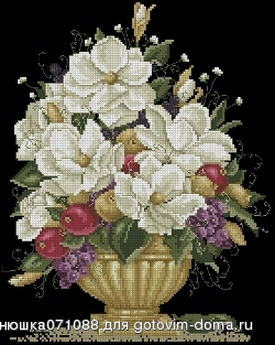 Magnolii-i-frukti.jpg