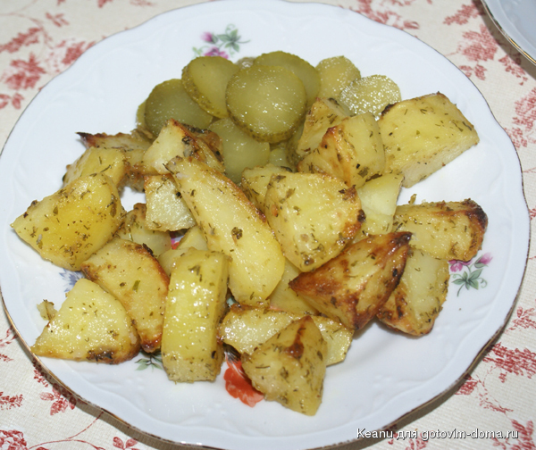 DSC08857.jpg