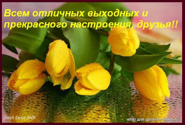 84288411_vuyh_i_nast.JPG