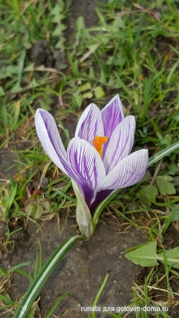20200308_123320.jpg