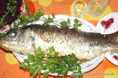 DSCF5601.JPG