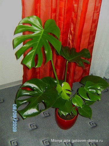 Fotoalbom 034.JPG