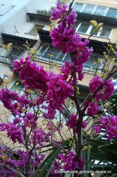 WP_20140321_002.jpg