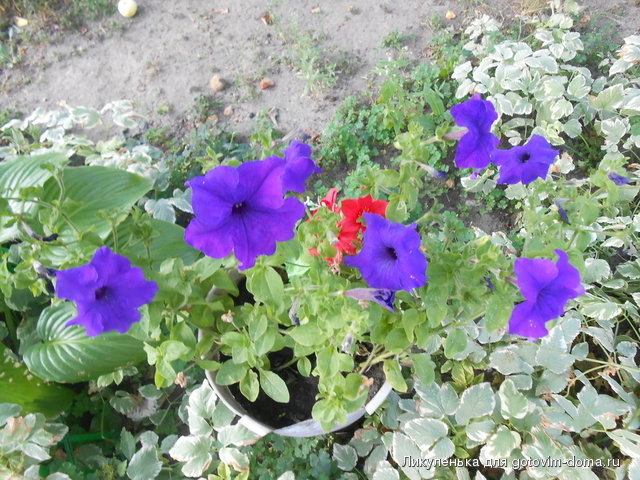 DSCN1593.JPG