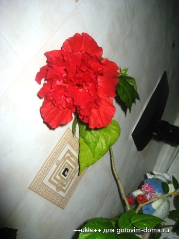 IMG_9757.JPG