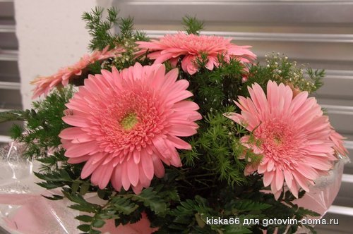 CIMG5683-vert.jpg