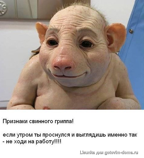 SVIN_100.jpg