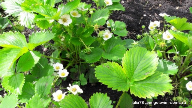20160523_112618-1024x576.jpg