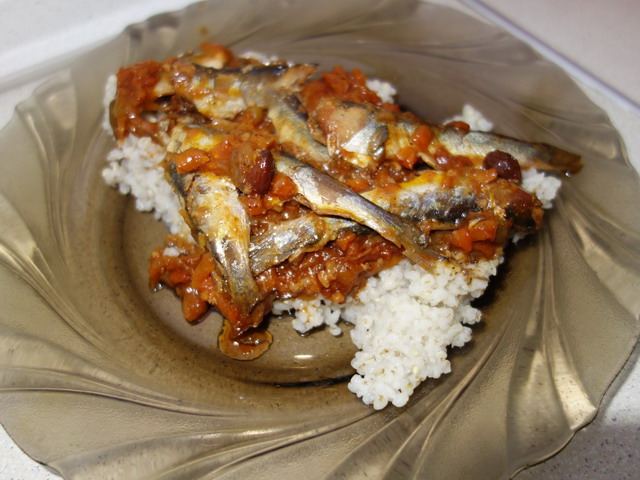 DSC01297.jpg