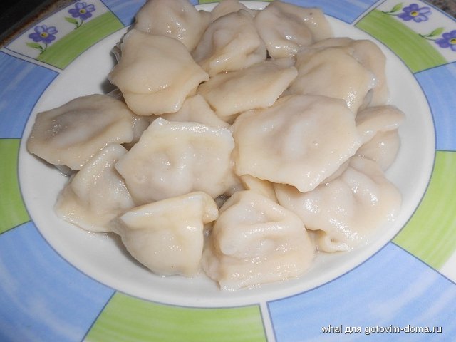 DSCN6637.JPG