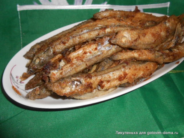 DSCN1467.JPG
