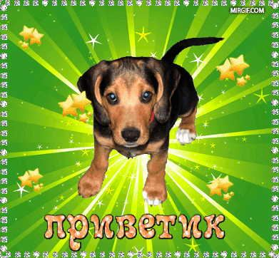 privetik.gif