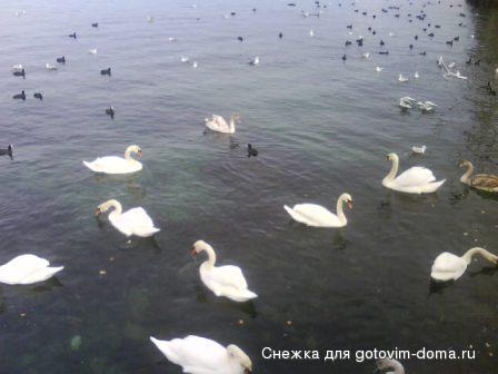DSC00041.JPG