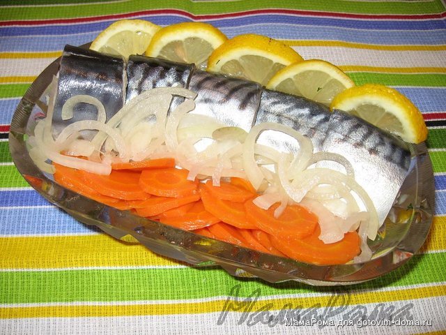 скумбрия.JPG