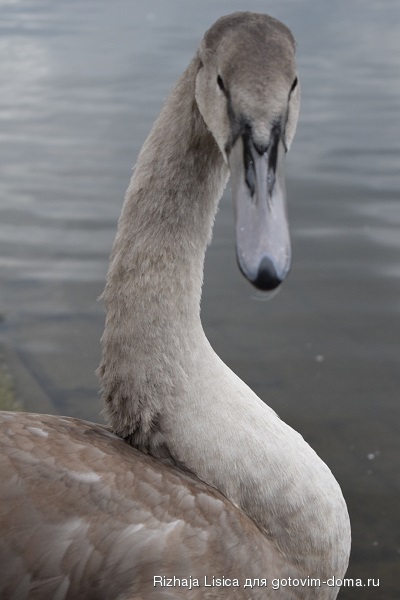 DSC_0039.JPG