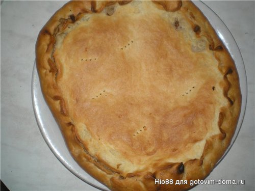 капустой.jpg