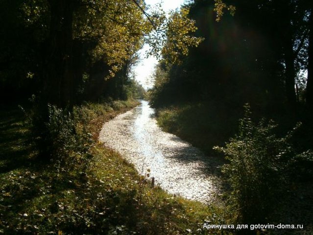 Picture 017_0.jpg