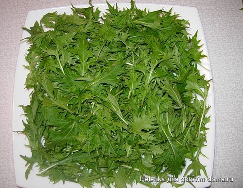 DSCN2421.JPG