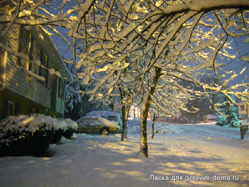 Picture-1251.gif