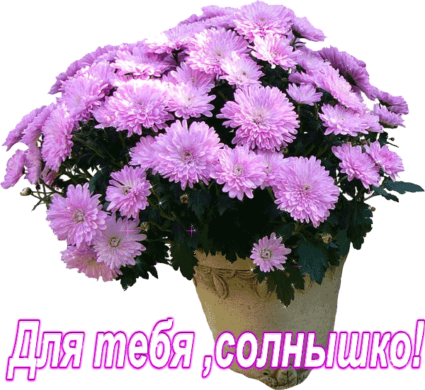 76220866_75864029_cvetuy_dlya_tebya.gif