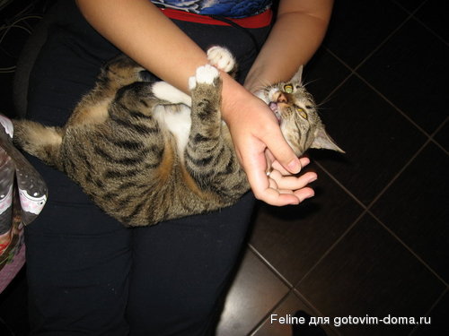 111 007_resize.jpg