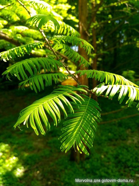 IMG_20170507_115529_HDR.jpg