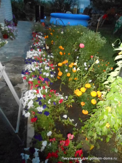 DSCN1204.JPG