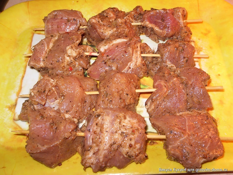 Мясо в аэрогриле рецепты. Шашлык в аэрогриле из свинины. Мясо в аэрогриле. Шашлычок из свинины в аэрогриле. Шашлык из свинины с жирком.