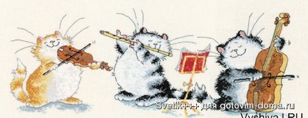 коты-музыканты.jpg