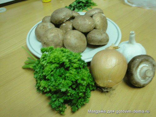 DSC00437_1.gif