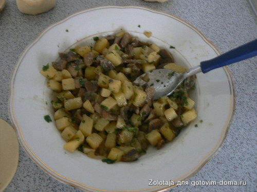 P1060808.JPG