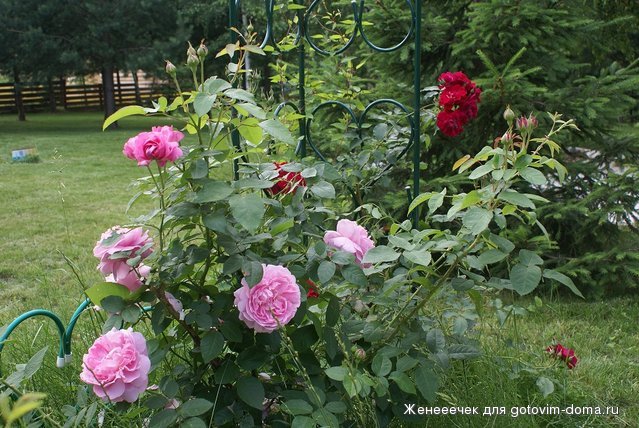 DSC04777.JPG
