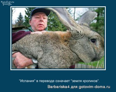 земля кроликов.jpg