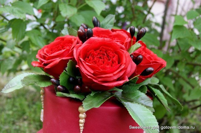 DSC01476.JPG