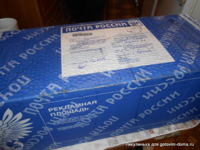 DSCN9019.JPG