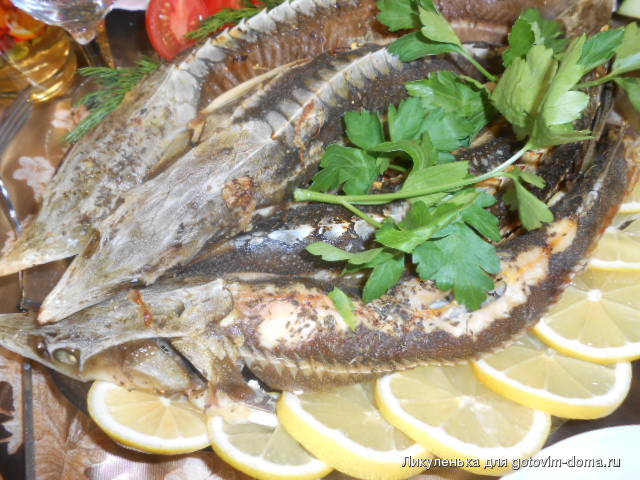DSCN7992.JPG