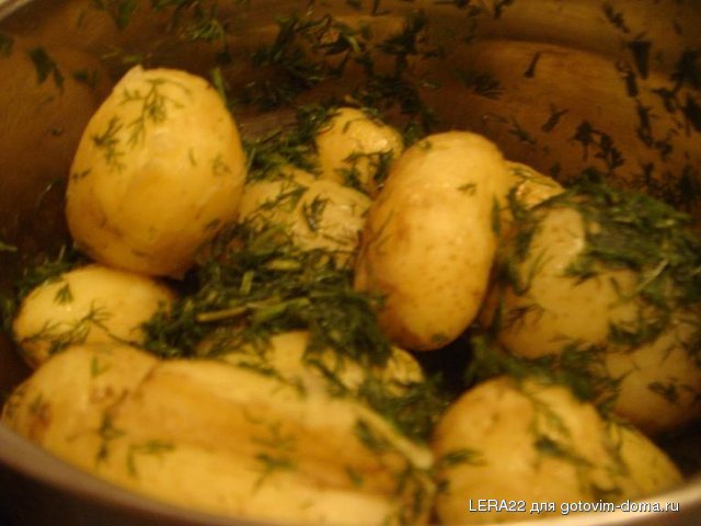 DSC00633.JPG