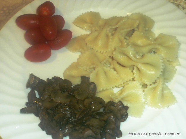 DSCN3206.jpg